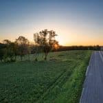 The “Quiet Title” Nightmare: Resolving Ownership Disputes on Inherited Land