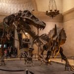 The Evolution of Predictive Learning Technologies Today
