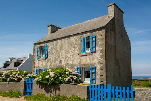 Rural Broadband Boom: Starlink’s Impact on Countryside Property Demand