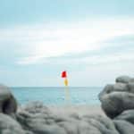 Phenomena-Based Travel: Chasing Solar Eclipses and Bioluminescent Waves