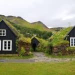 Pet-Friendly Housing: Features That Add $20K to Your Home’s Value