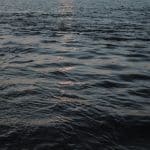 The Dark Side of Shein Hauls: Why Your $50 Order Costs the Planet