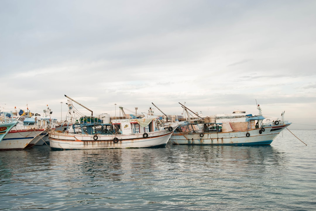 The Rise of Hybrid-Powered Ships: Cutting Emissions Without Compromise