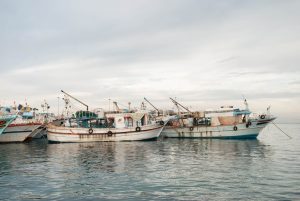 The Rise of Hybrid-Powered Ships: Cutting Emissions Without Compromise